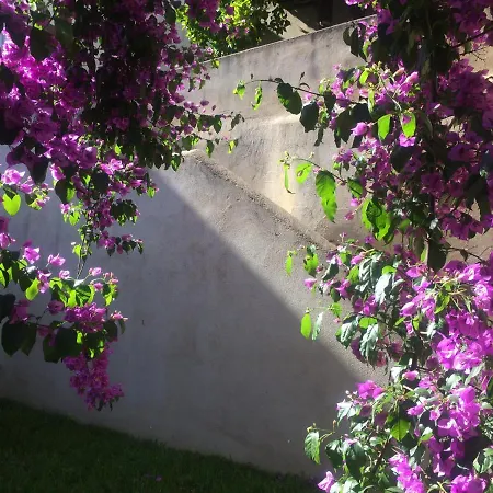 Sobre Ribas 2|12 * كويمبرا